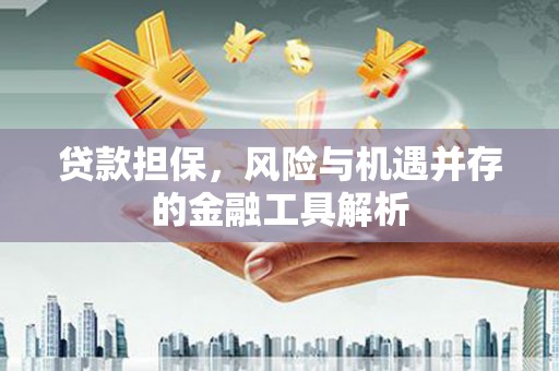 外埔贷款担保，风险与机遇并存的金融工具解析