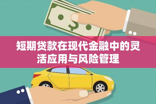 外埔短期贷款在现代金融中的灵活应用与风险管理