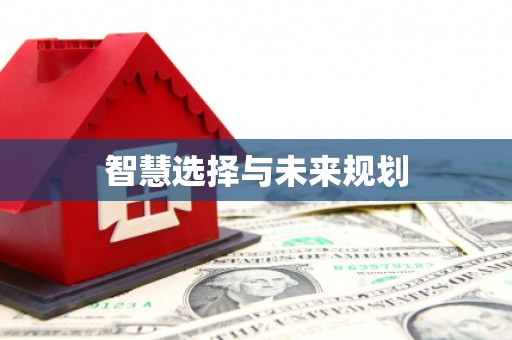 外埔智慧选择与未来规划