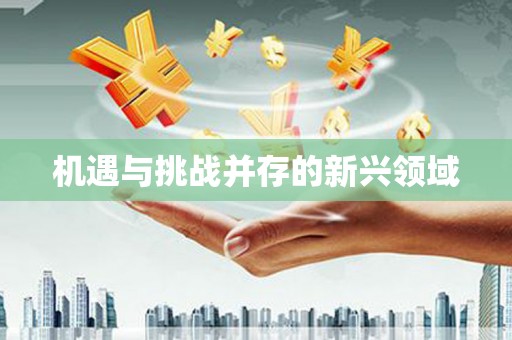 外埔机遇与挑战并存的新兴领域