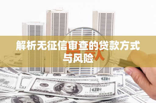 外埔解析无征信审查的贷款方式与风险