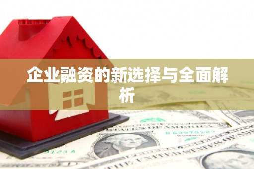 外埔企业融资的新选择与全面解析