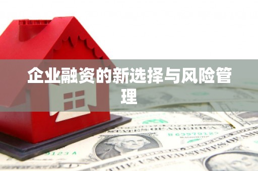 外埔企业融资的新选择与风险管理