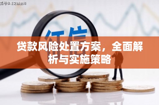 外埔贷款风险处置方案，全面解析与实施策略