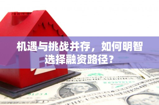 外埔机遇与挑战并存，如何明智选择融资路径？