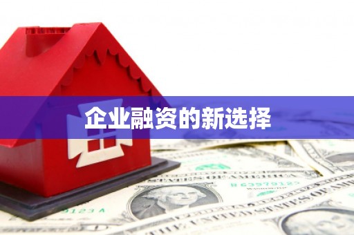 外埔企业融资的新选择