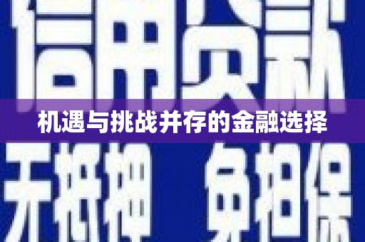 外埔机遇与挑战并存的金融选择