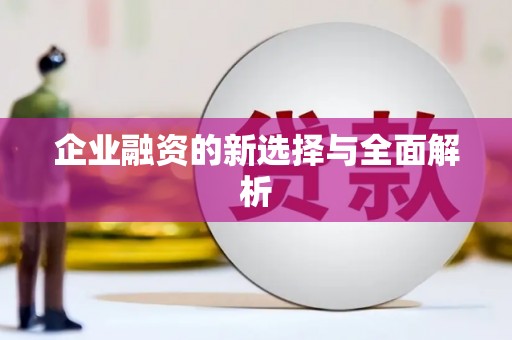 外埔企业融资的新选择与全面解析