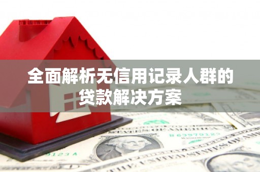 外埔全面解析无信用记录人群的贷款解决方案