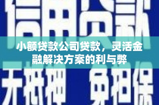 外埔小额贷款公司贷款，灵活金融解决方案的利与弊