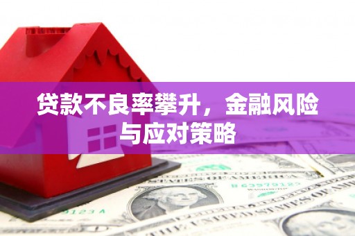 外埔贷款不良率攀升，金融风险与应对策略
